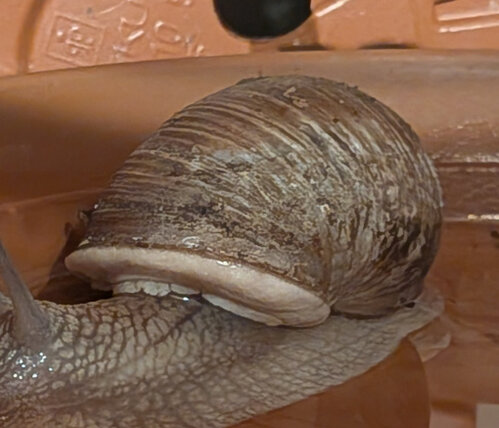 BeamyHaus2.jpg