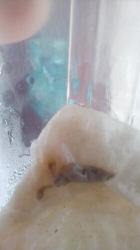 IMG_20260725_184414046.jpg