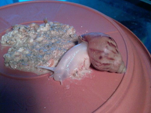 Foto-0575_Größe ändern.jpg