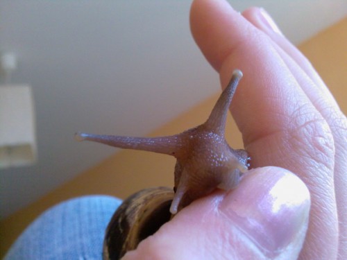 Foto-0548_Größe ändern.jpg