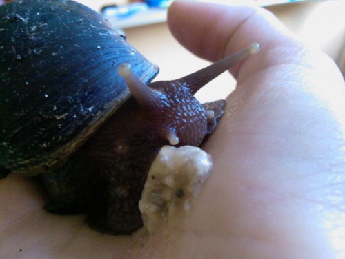 Foto-0561_Größe ändern.jpg