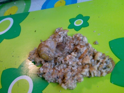 Foto-0580_Größe ändern.jpg